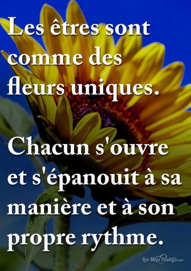 Les Etres Sont Comme Des Fleurs Uniques Les Mots Positifs Com