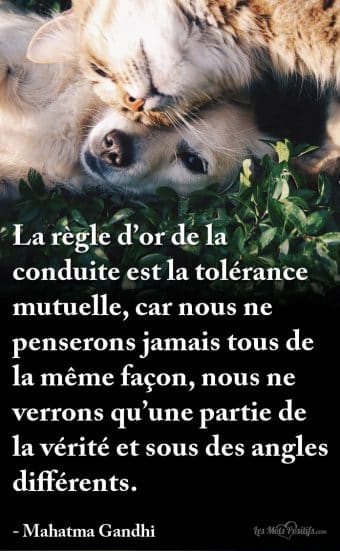 Nouveautes Les Mots Positifs Com Page 92