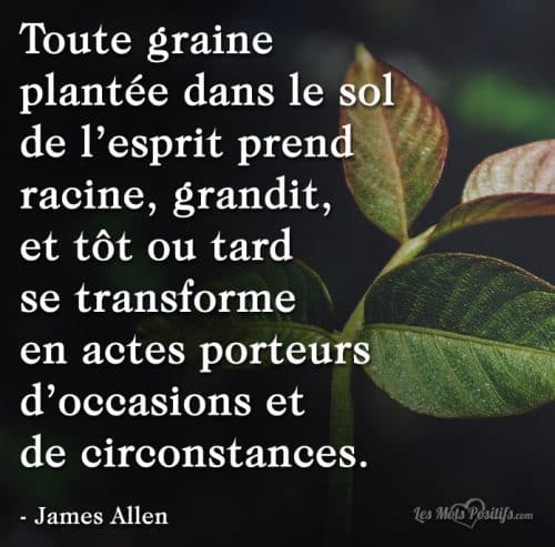 Citation Et Pensee Positive Sur Auto Hypnose Les Mots Positifs Com