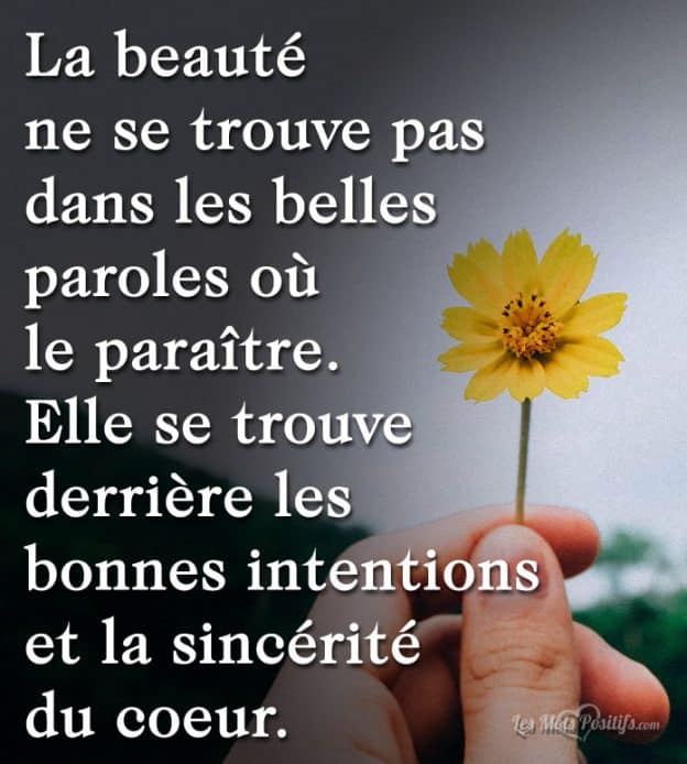 La Beaute Ne Se Trouve Pas Dans Les Belles Paroles Ou Le Paraitre Les Mots Positifs Com