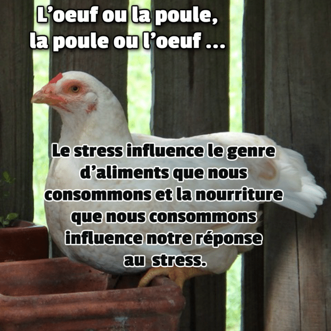 Poule Citations Et Pensees Positives Les Mots Positifs Com